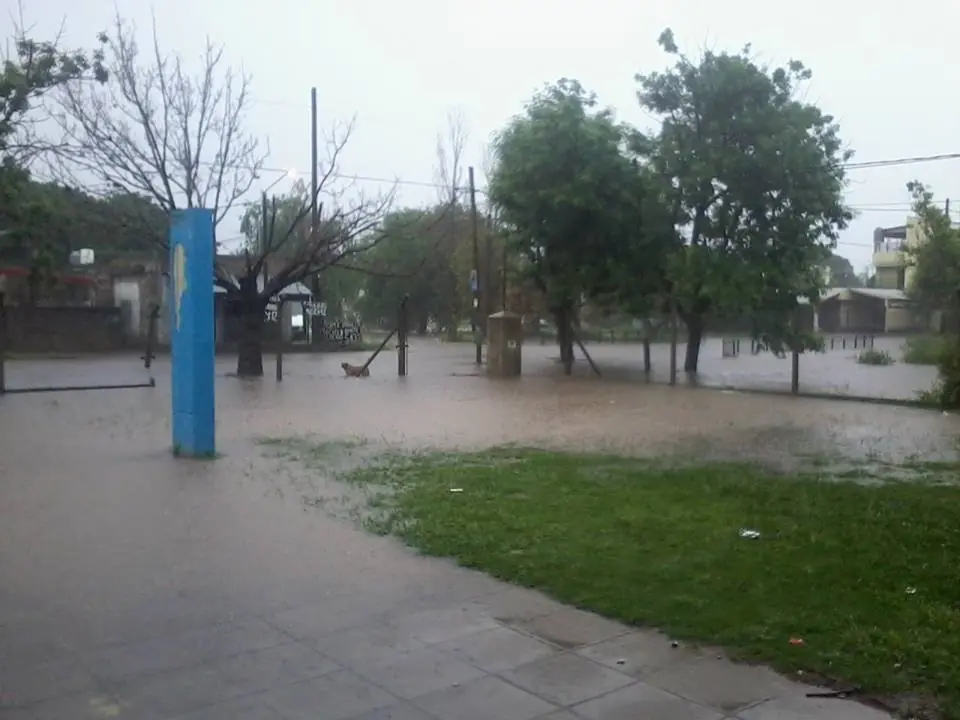 cloacas cloacas