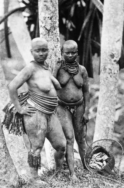 jarawa