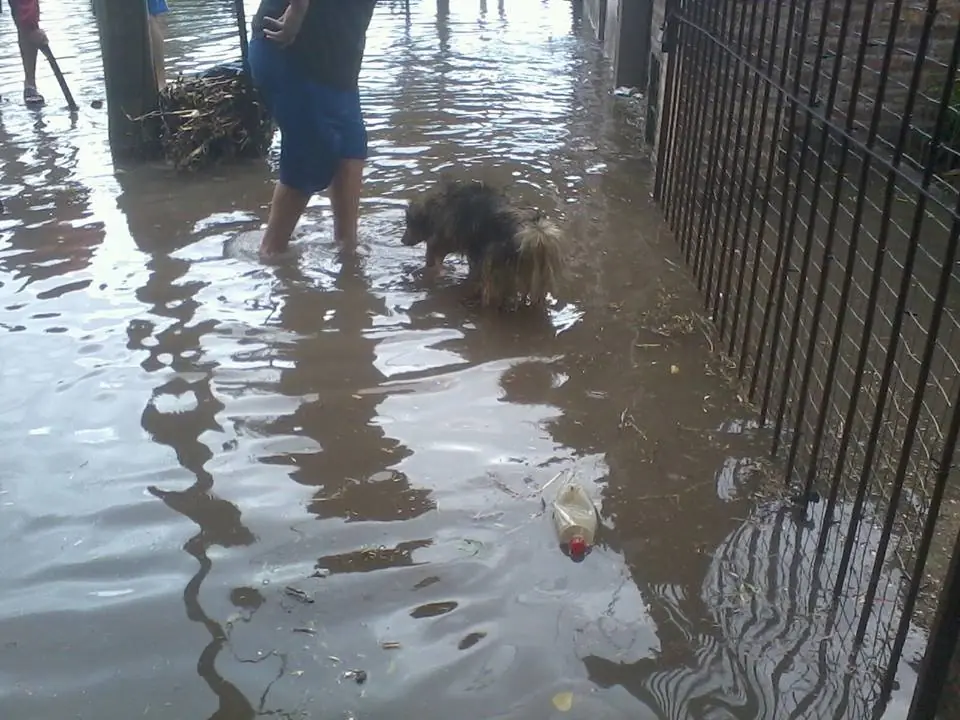 Zona Sur inundada, gracias Scioli (Fotos) Zona Sur inundada, gracias Scioli (Fotos)