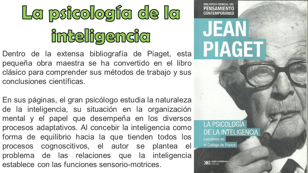 educacion