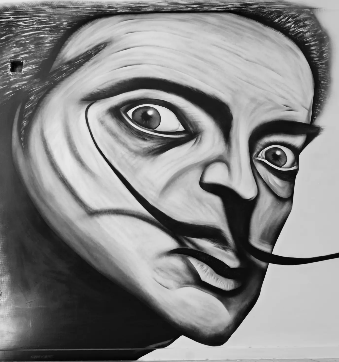 ojo