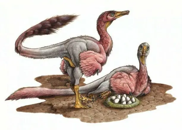 dinos