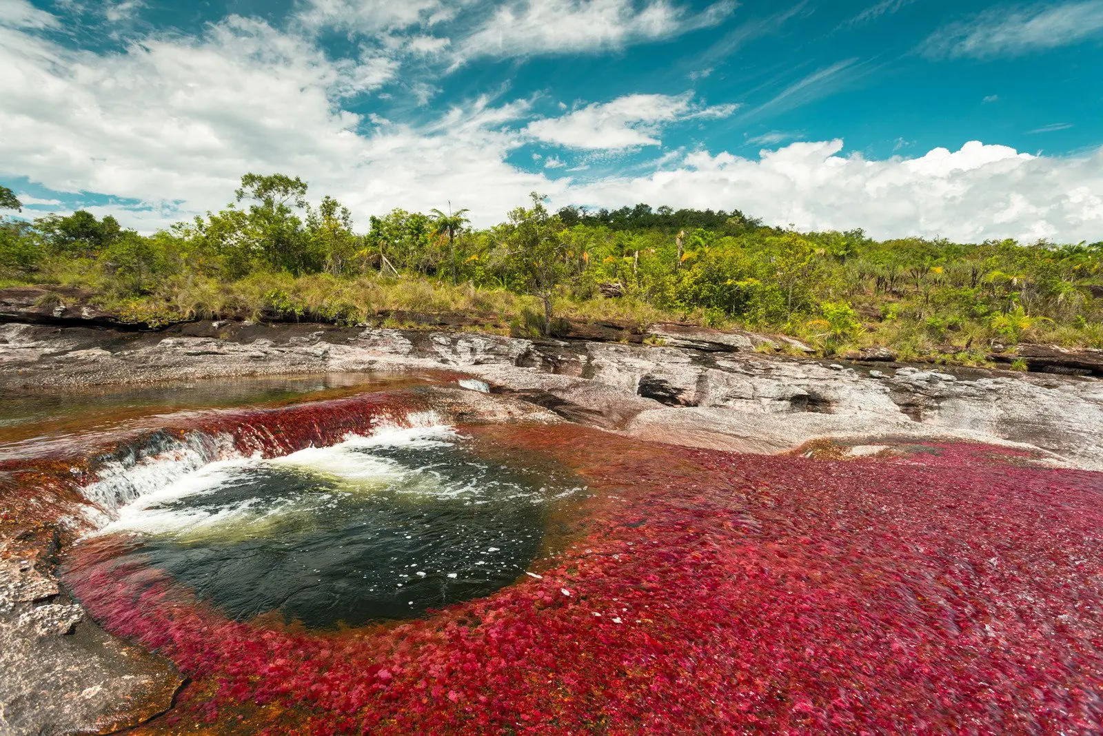 colombia colombia
