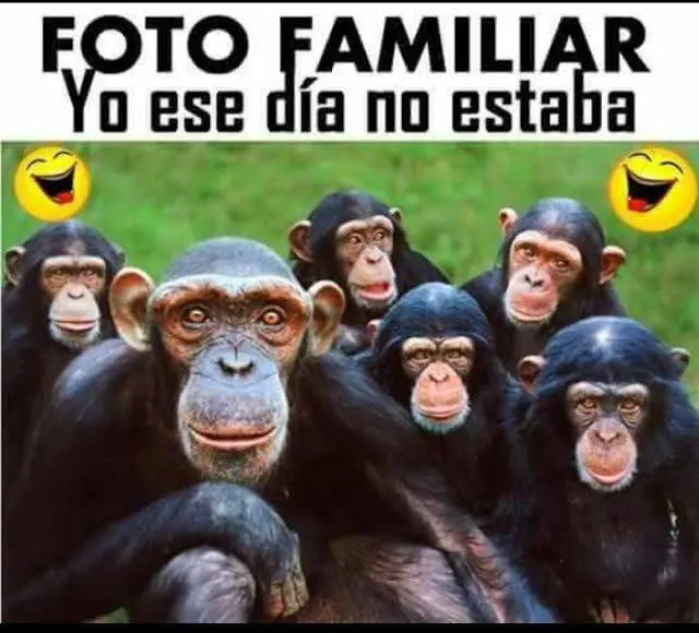 fotos
