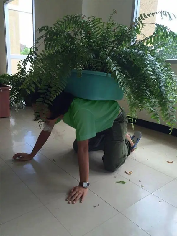 Ante todos ustedes, el rey del cosplay