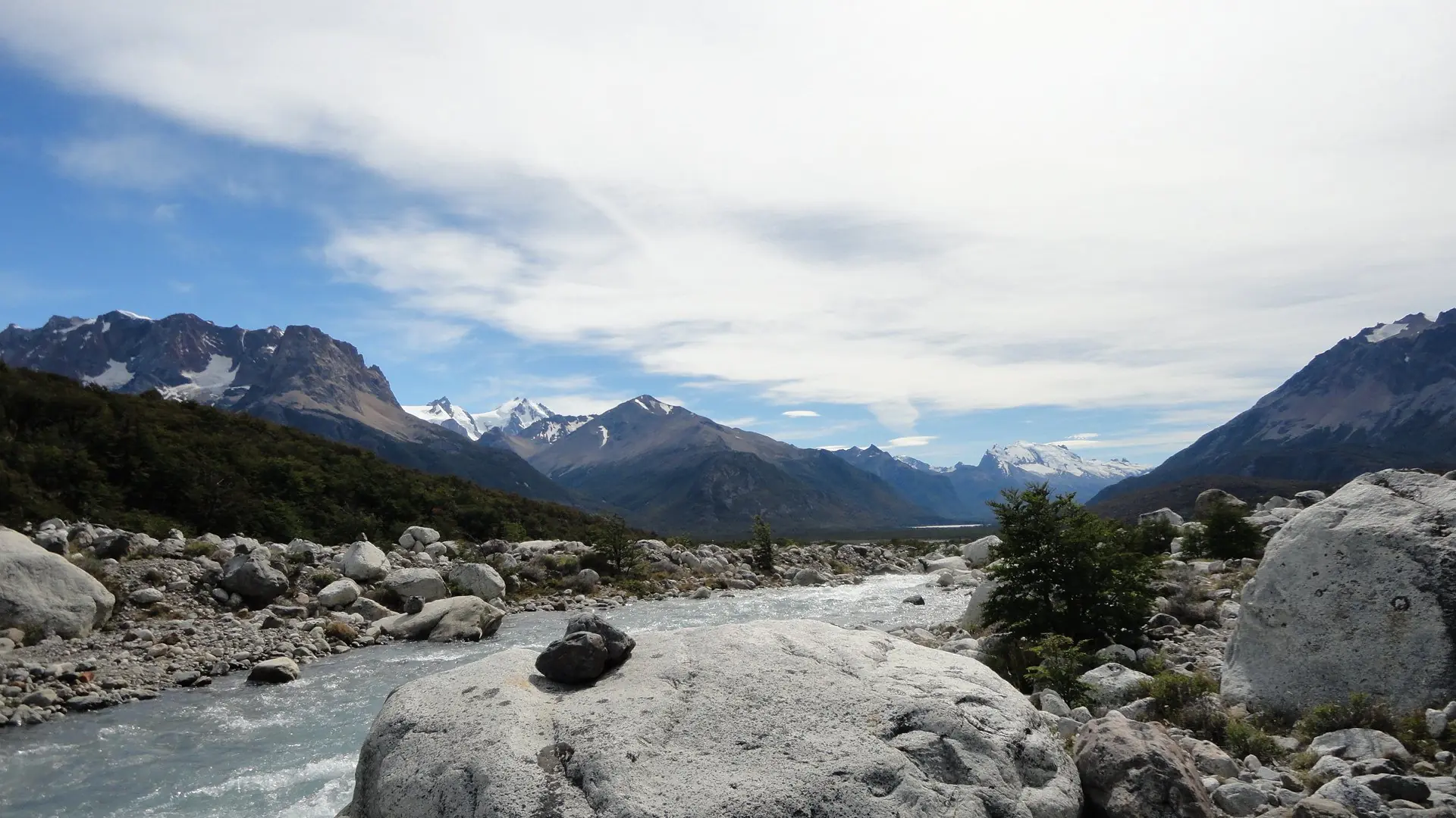 calafate