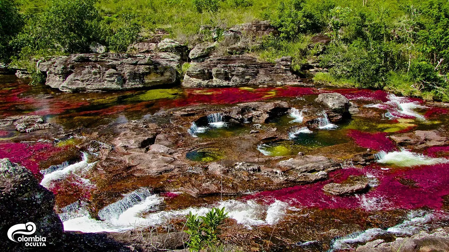 llegar a cano cristales llegar a cano cristales