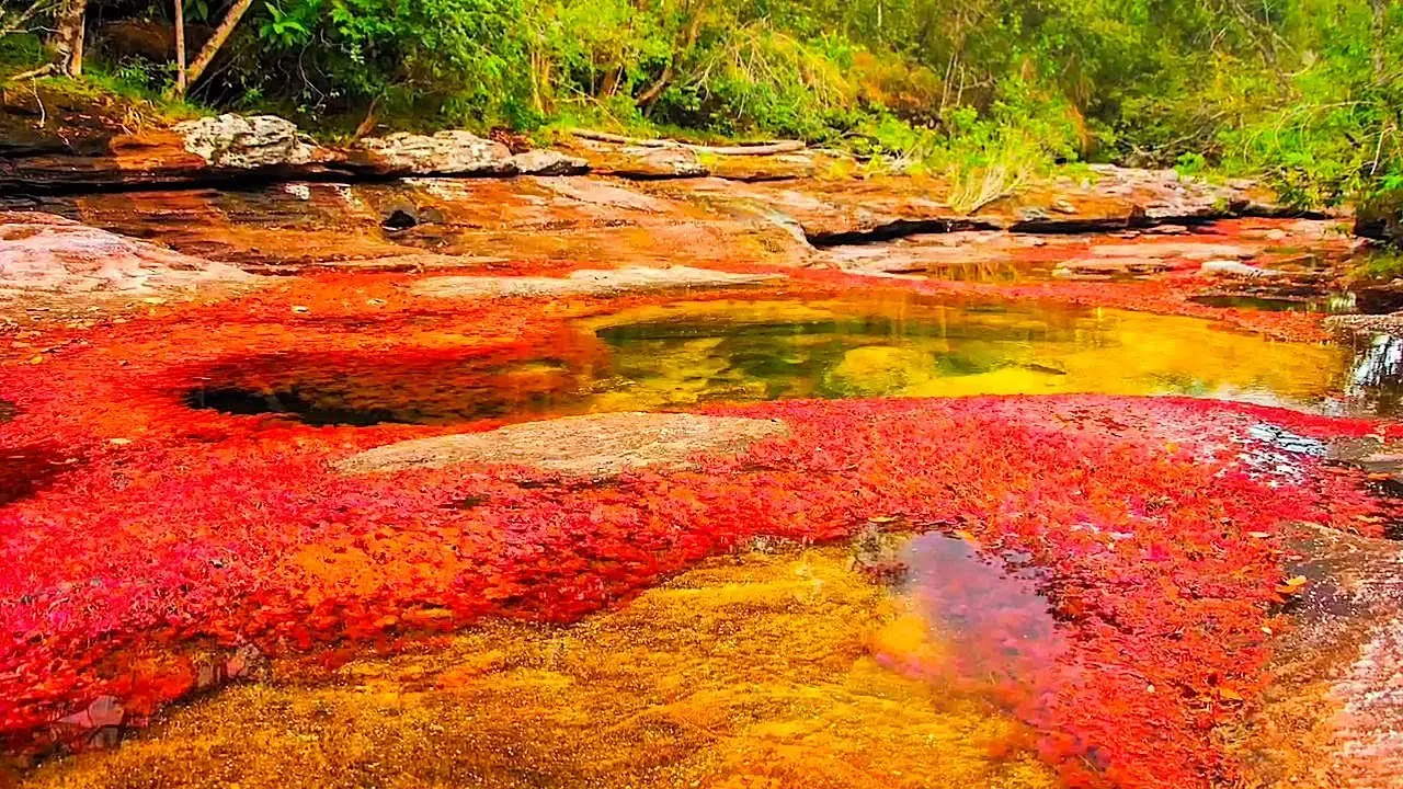 rio mas lindo del mundo rio mas lindo del mundo