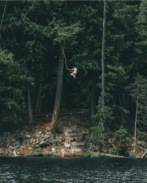 2016