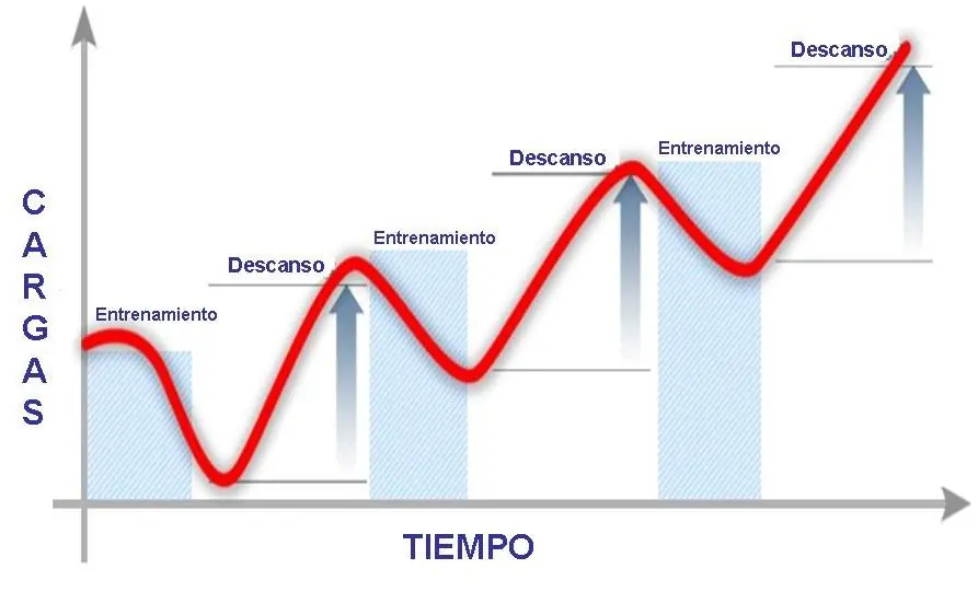 resistencia aerobica