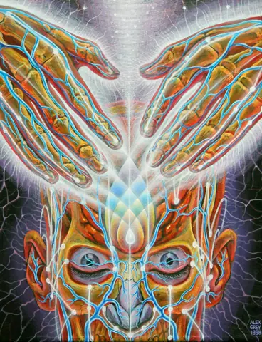 ayahuasca