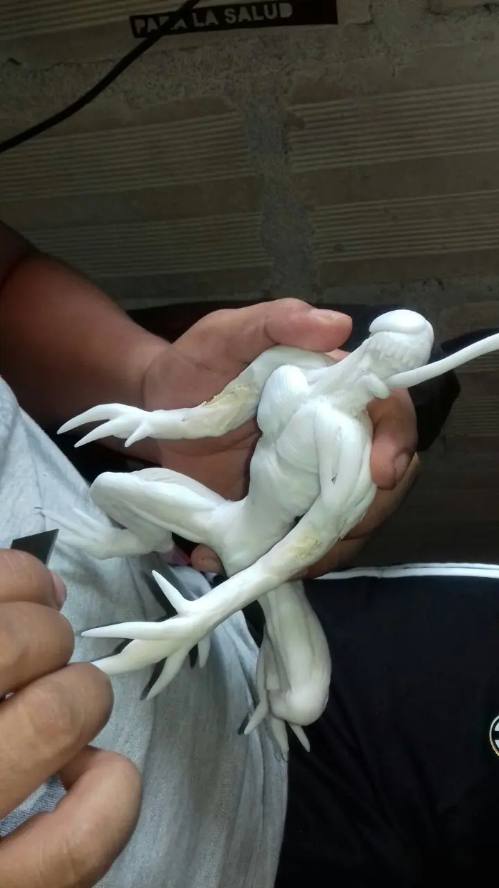 figura