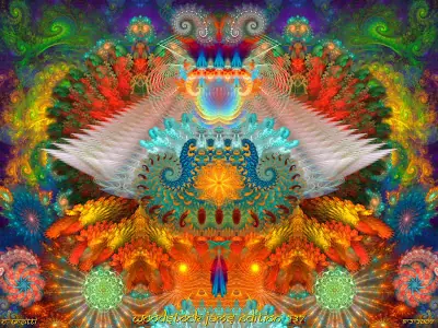 Lince! Que esperar de tu primer experiencia con DMT