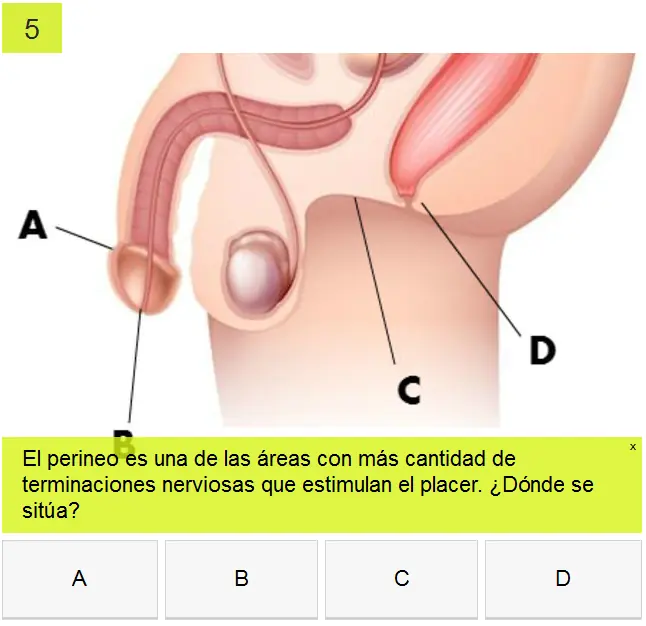 como seducir