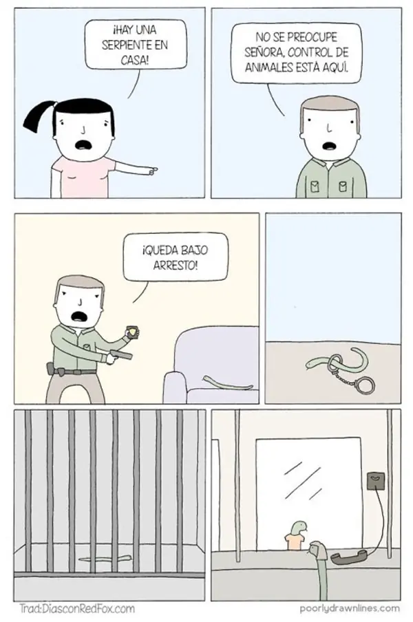 Humor gráfico para alegrarte la tarde 4,pasa lince