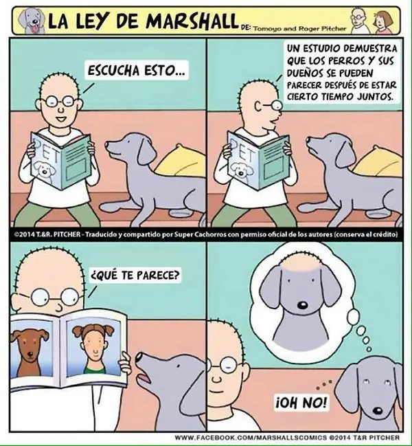 Humor gráfico para alegrarte la tarde 4,pasa lince
