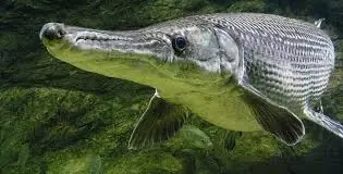 laragrto laragrto