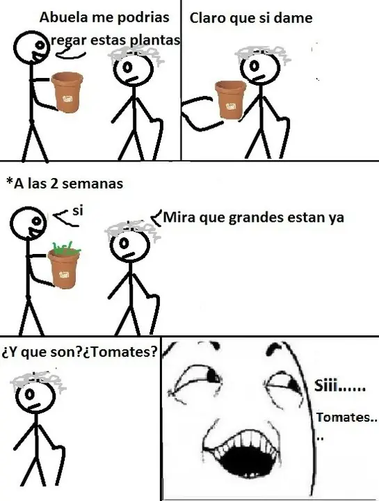 memes