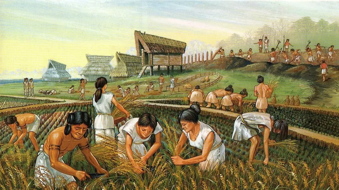 riquezas