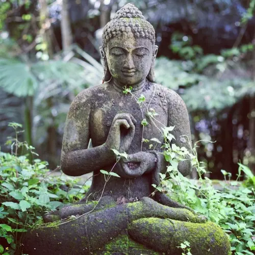 jhanas