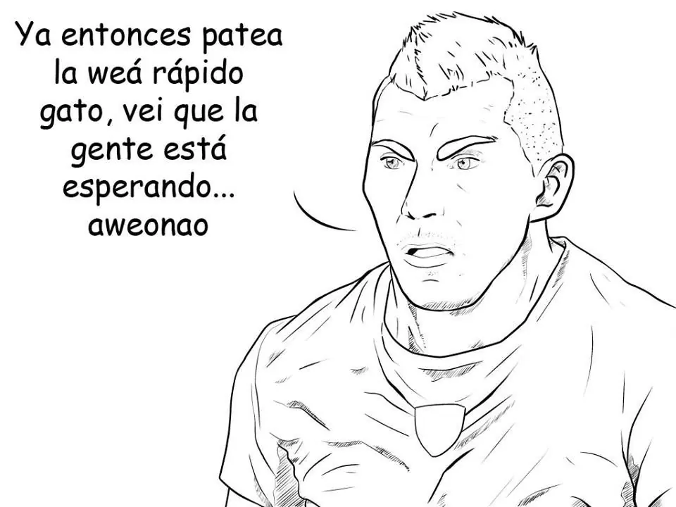 gato silva