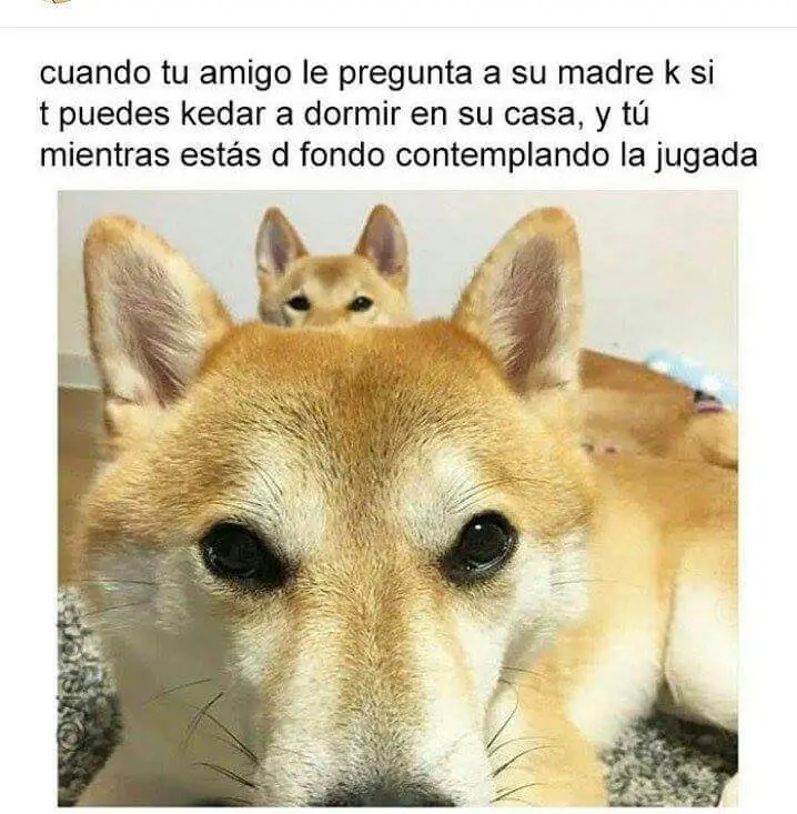 sino