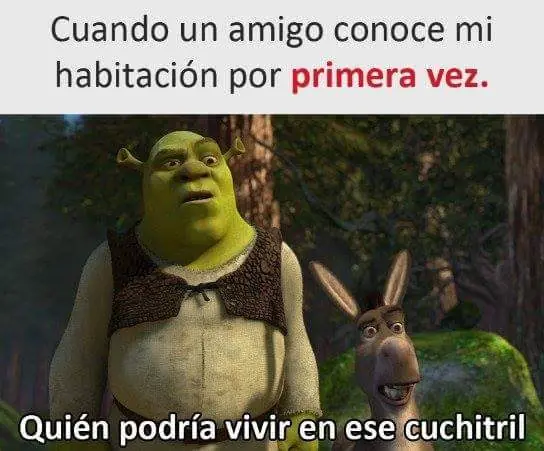 tereis