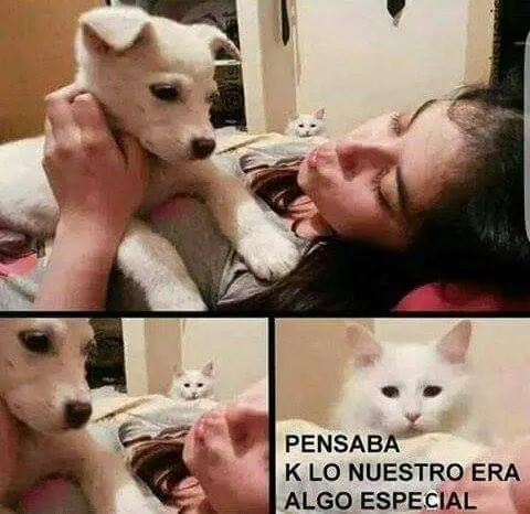rufian