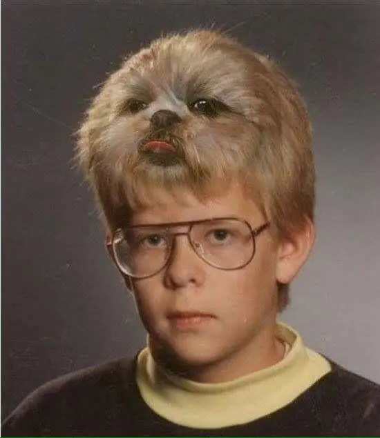 humor