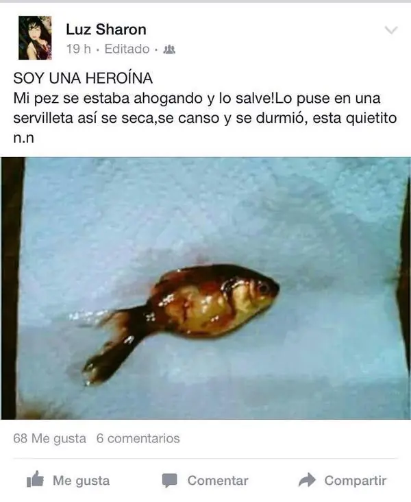 humor