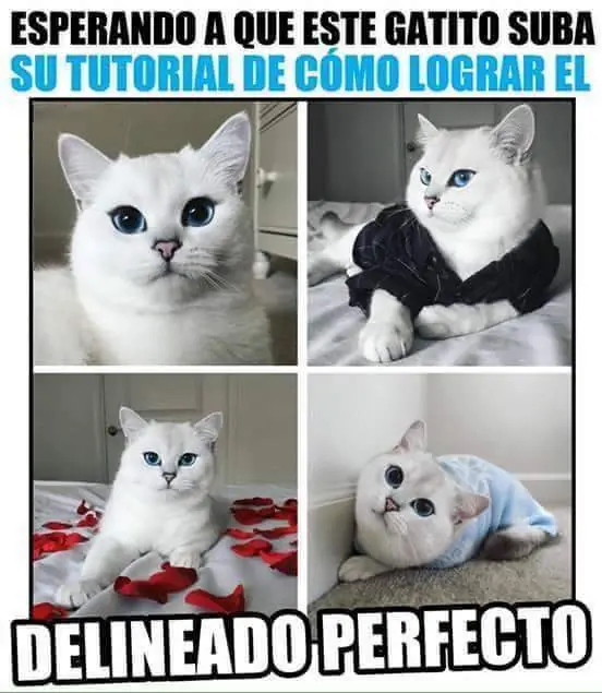 denuncia