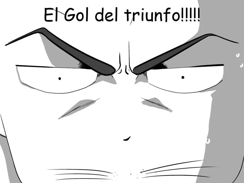 gato silva