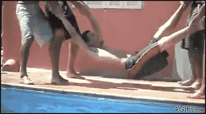 gif grasiosos