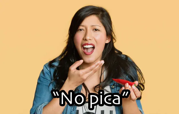no pica
