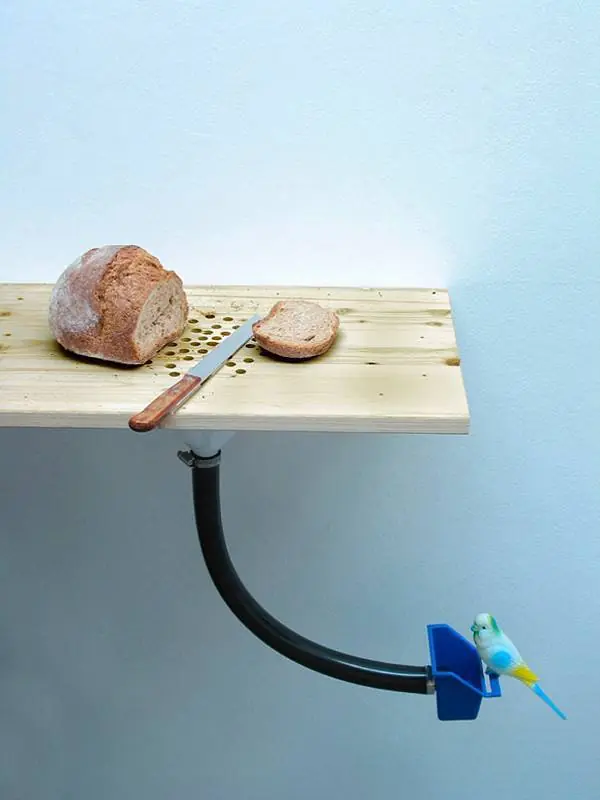 Inventos