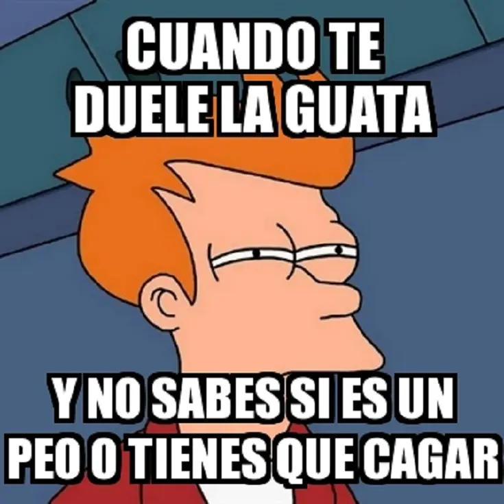 fotos