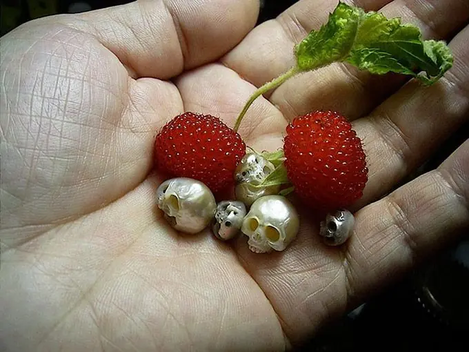 anillos