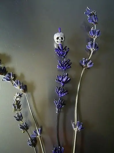 Perlas convertidas en calaveras