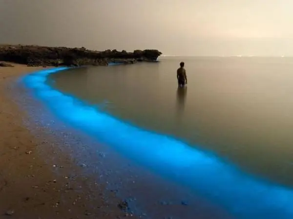 41 imágenes raras y curiosas.