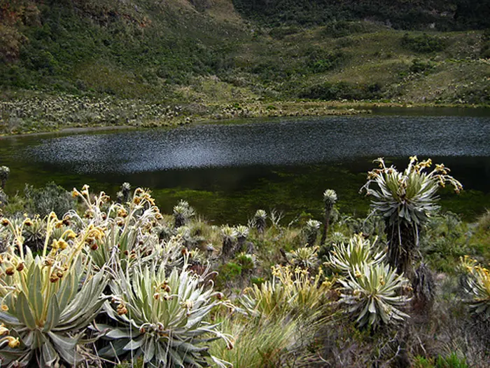 parques naturales de colombia
