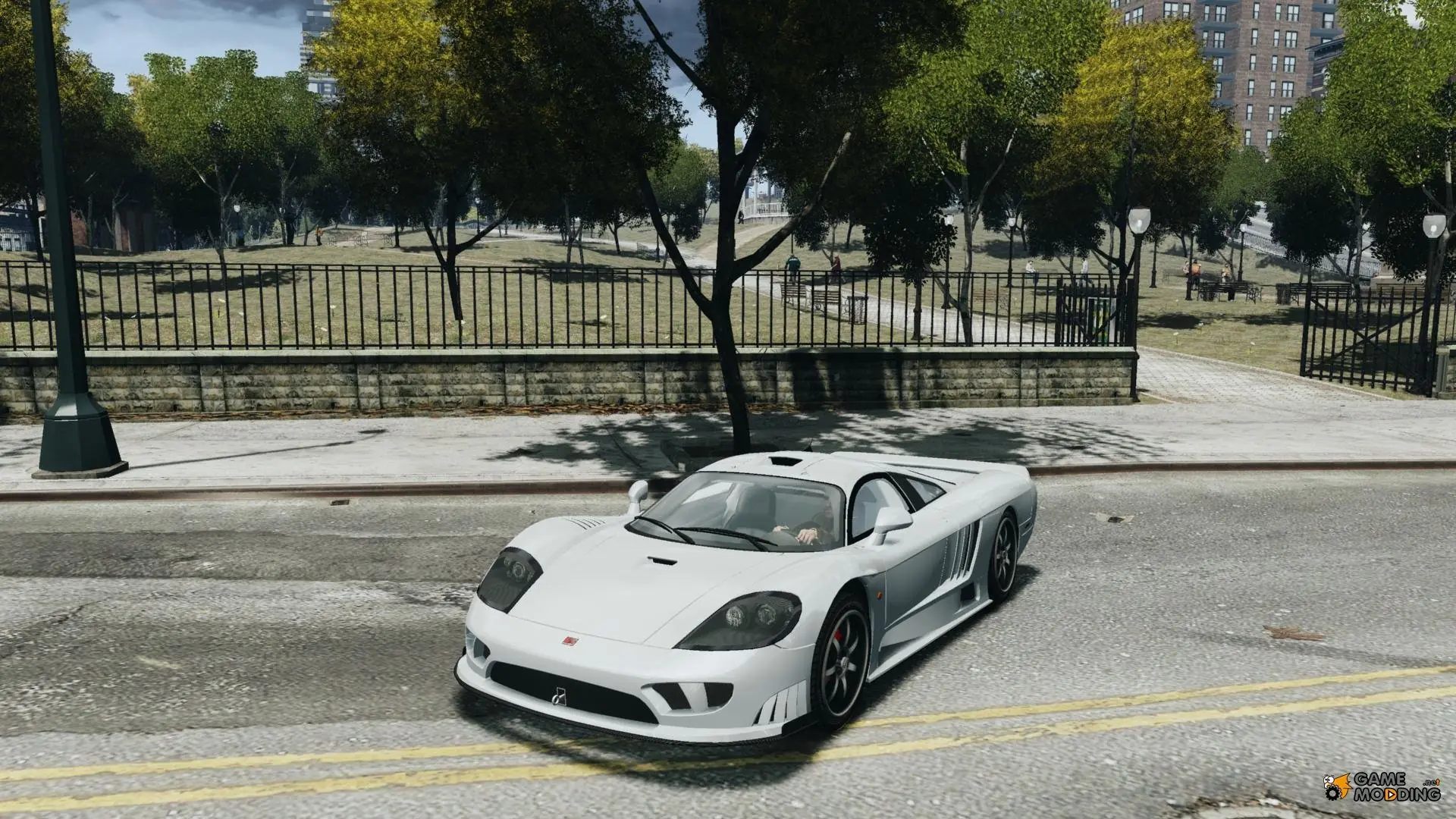 saleen
