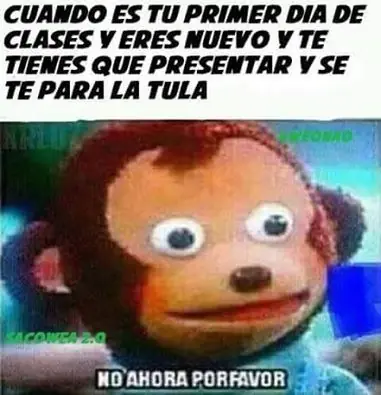 memes chilenos