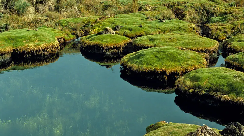 18 Parques Nacionales de Colombia, diversidad y belleza