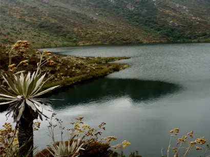 parques naturales de colombia