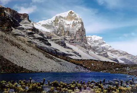naturaleza