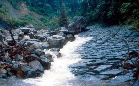 parques naturales de colombia