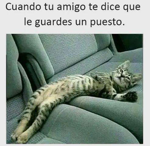 humor