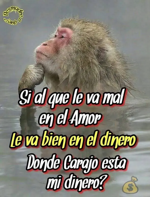 humor