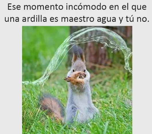 Humor de Lunes