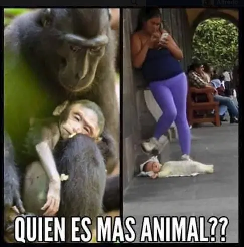 humor de Lunes
